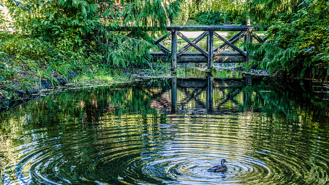 Beer Creek Duck Pond